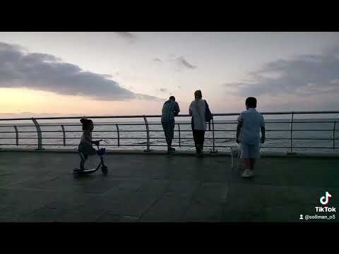 خايف م الكلب هههههه