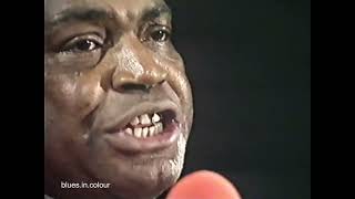 Willie Dixon &amp; the Chicago Allstars - 'My Babe' live in Copenhagen 1970