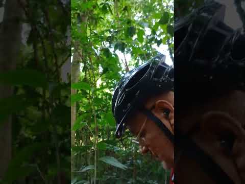 Angelino Moreira Ambientalista visita reserva Ouro Preto do Oeste-RO#angelinoambientalista #shorts