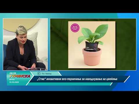 НАША УТРИНСКА ТЕМА со Ангелика Буровски „СТИА“ иновативни еко перничиња за наводнување цвеќиња