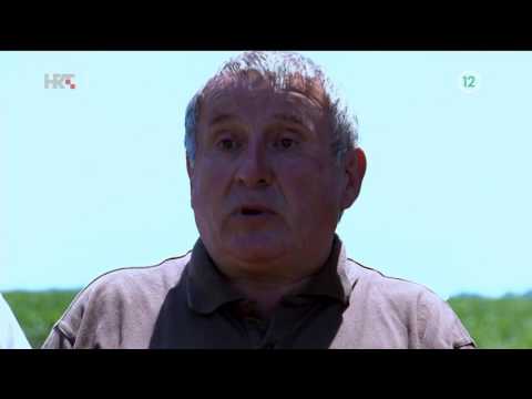 Heroji Vukovara Sezona 3 Ep. 2 - Kukuruzni put