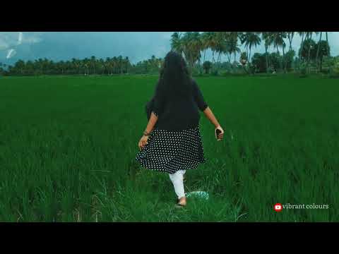 kollengode village nature🏞️❤️ vibrant colours | 4k✨