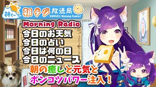 [閒聊] 關於るる的貓