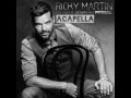 Ricky Martin Ft. Pitbull - Mr. Put It Down (Acapella ...
