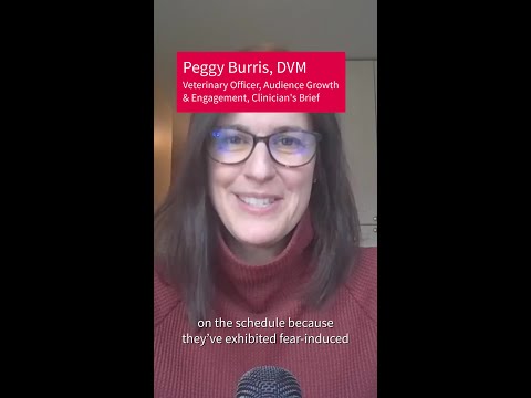 Daily Rounds: Chill Protocol to Manage Aggressive & Fearful Dogs