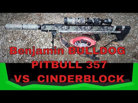 BENJAMIN BULLDOG 357 VS Cinderblock DEMOLITION PCP AIR RIFLE BIG BORE CAST SLUGS 174grBT DIY 359 NOE