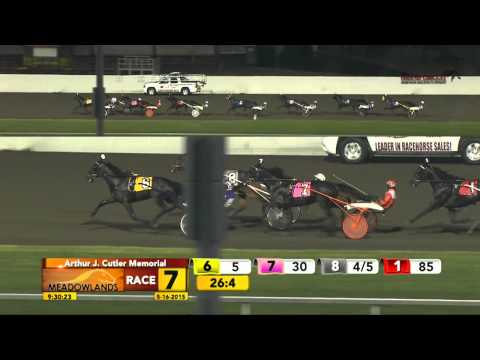 Arthur J. Cutler Final - Bee A Magician - May 16, 2015