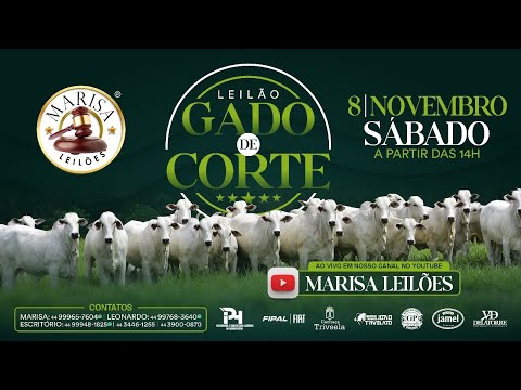 Leilão - Ao Vivo Marisa Leilões - 08 de NOVEMBRO 2025  -  Paranavaí-PR