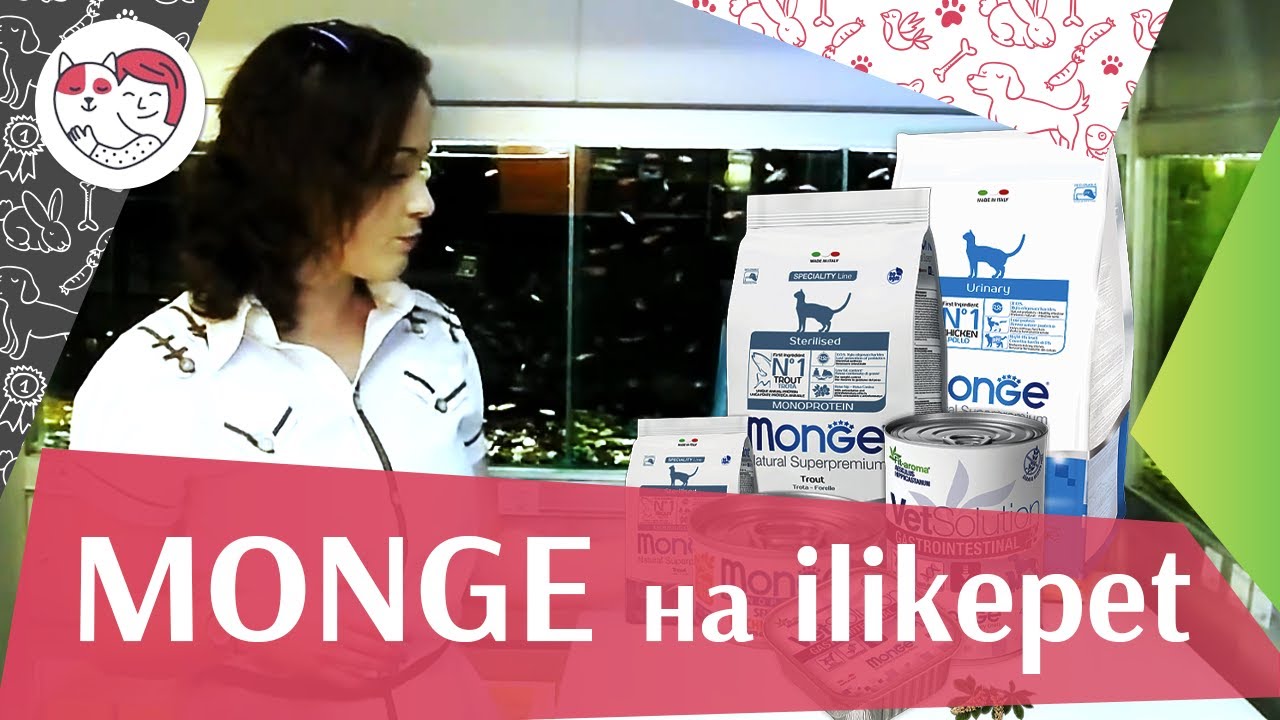 Monge на ilikepet