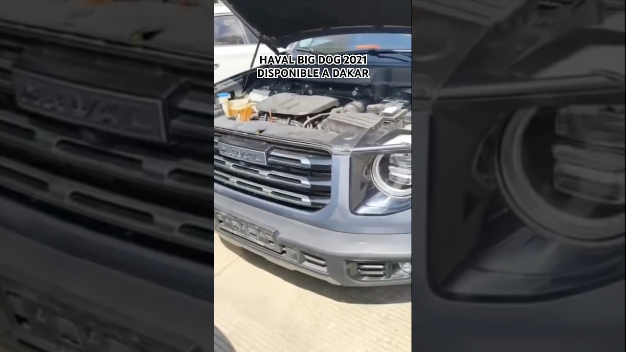 Haval Bigdog 2021 video thumbnail
