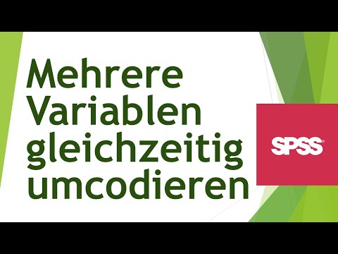 Multiples Umcodieren in SPSS - Daten analysieren in SPSS (118)