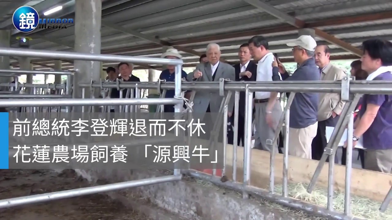 培育台灣和牛 李登輝擘畫畜產業藍圖