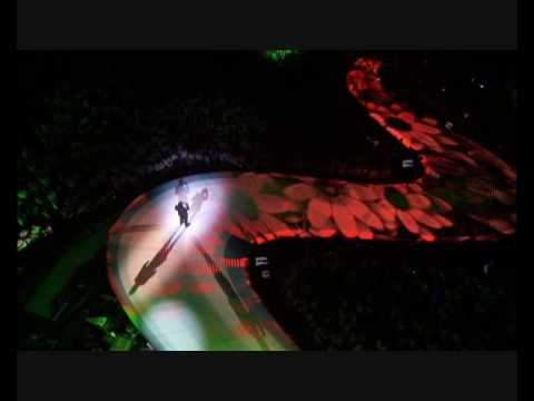 Wit Licht Live - Vlinder