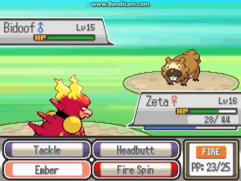 Pokemon Zeta: Part 7: Capturing Zorua