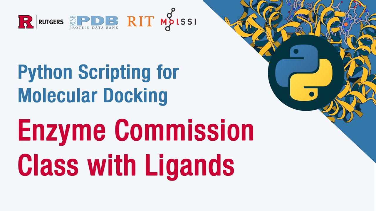 Python Scripting for Molecular Docking: Enzyme Commission Class with Ligands
