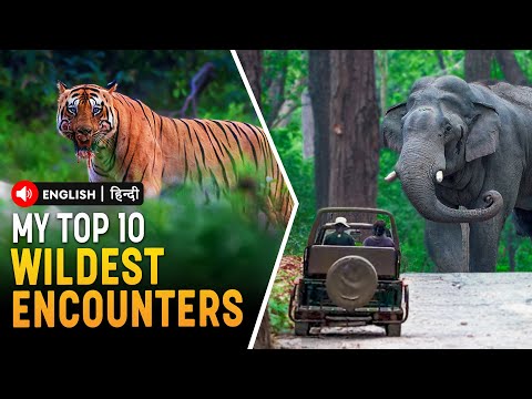 Ranking my Close encounters with India's Deadliest Animals