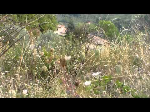 7° Rally di Reggello 2014 R. Marchetti - J. Parducci Rover MG ZR 105 A5