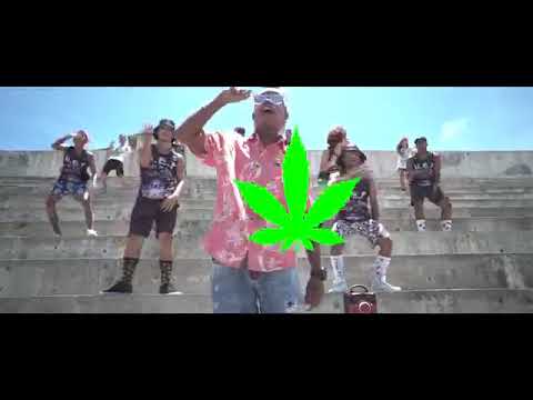 MC Binho Costa - A MINHA IRMÃ FICOU DOIDONA - ( CLIPE OFICIAL )