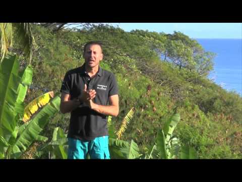 Gombessa II Expedition "The Grouper Mystery" - Episode 02