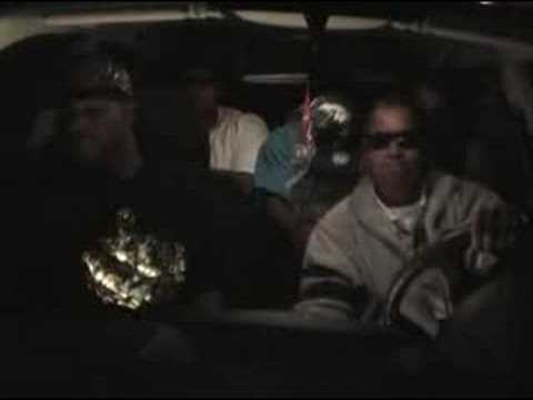 Studda Capp (Northern Lightz) - Toolee Tucked