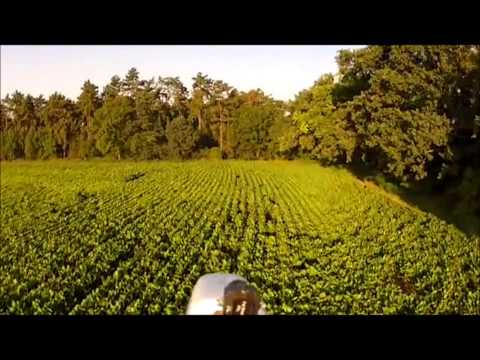 Acronym Prg - Vzpomínky na matku