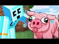 Minecraft But Everything I Touch Turns To Cartoon