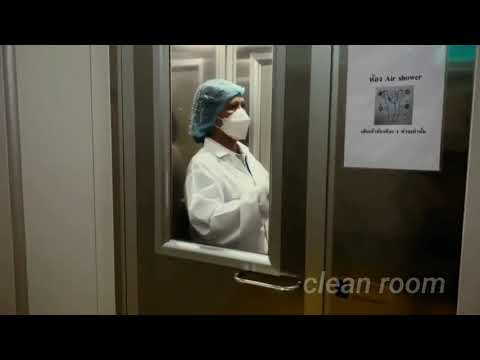 Organic Noni juice Production from Noni Thailand