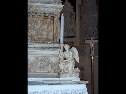 Michelangelo's Angel