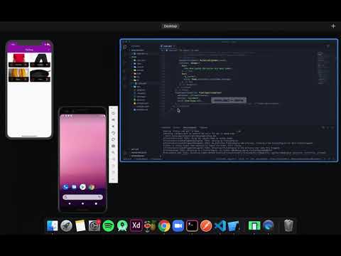 Flutter Tutorial for Beginners 8 First app and basic structure in Flutter