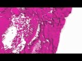 Vladislav Delay as Sistol - Kotka (FaltyDL Refunk) (Excerpt)