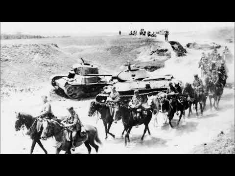 Operation Cowboy – When U.S. and German Soldiers Teamed Up to Save the World’s Finest Horses