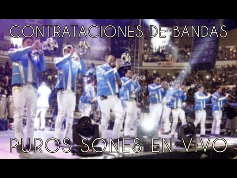 CONTRATACIONES DE BANDAS DE MICHOACAN Y GUANAJUATO - PUROS SONES EN VIVO