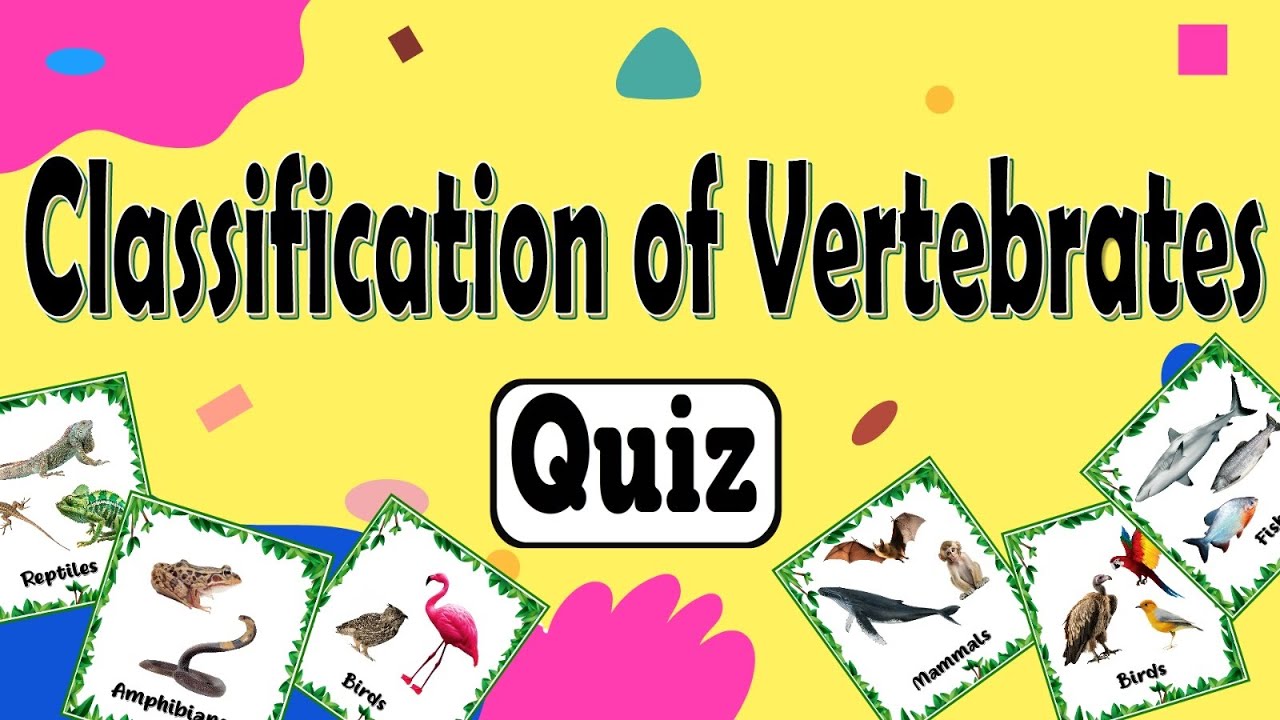 Mammals, Birds, Reptiles, Fish, or Amphibians Quiz | Classifying Vertebrates Quiz