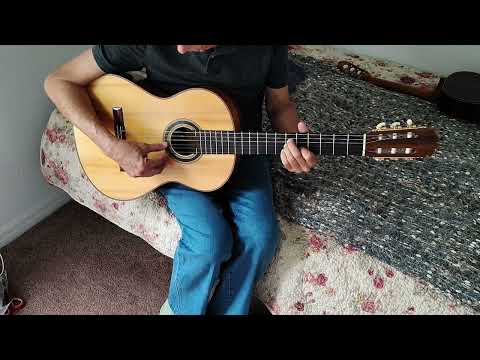 2007 Hippner Grand Concert Guitar Especial 2007 - French Polish image 15