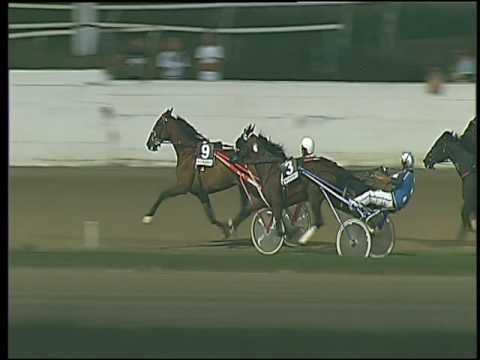 Trotto 30/07/2016 - 5° corsa