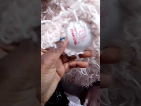 Naar de stad Aalst#3