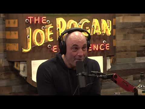 Joe Rogan Experience #1777 - Andrew Dessler
