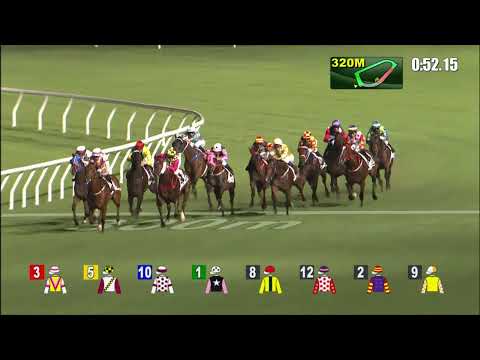 8/9/2021 (12) Wood On Fire - K Teetan