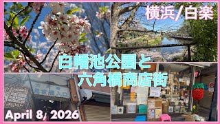 横浜/白楽　白幡池公園と六角橋商店街