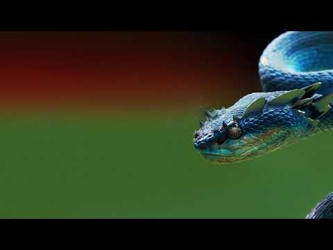 YOTTO - Is This Trance? (Official Audio) [Odd One Out]