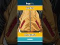 jacket - chaqueta video thumbnail