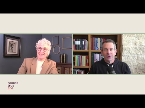 Sam Harris talks about his Dzogchen training