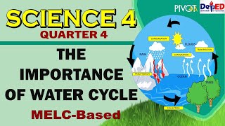 The Importance of Water Cycle | SCIENCE 4| QUARTER 4| WEEK 3