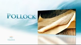 About - Pollock (Pacific & Atlantic)