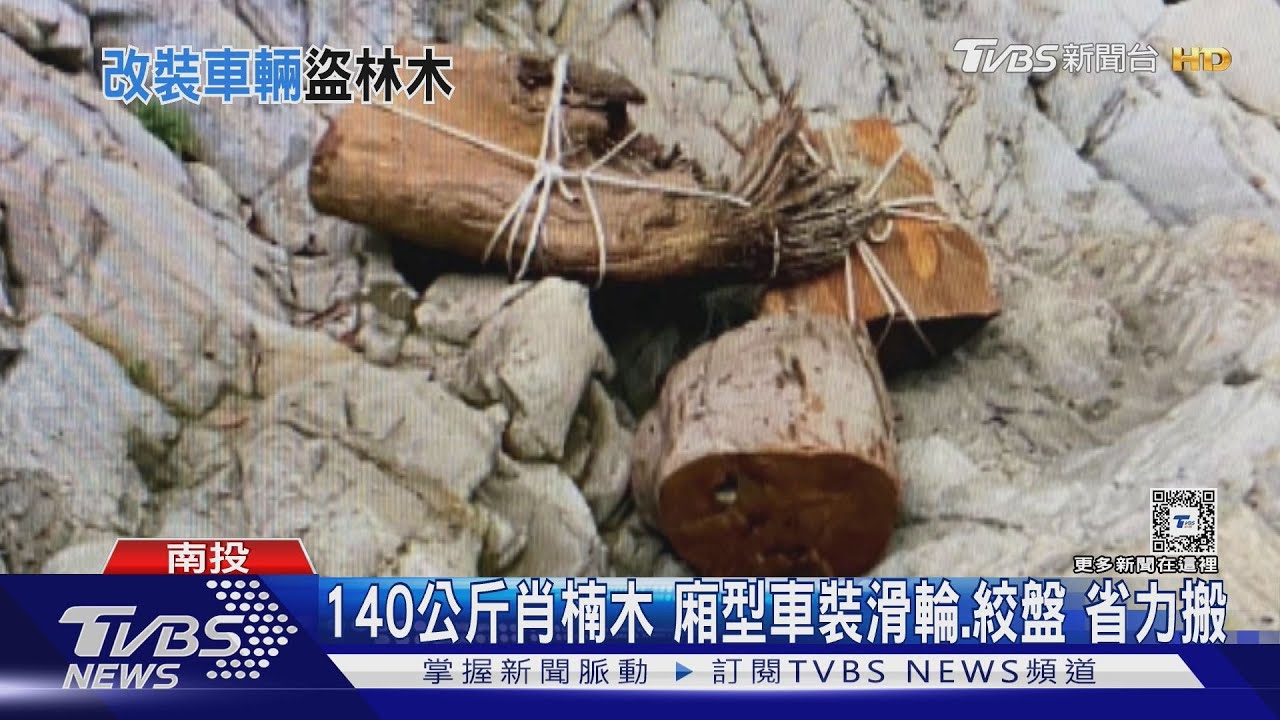 山老鼠帶10萬元入山　還改裝「省力盜筏車」