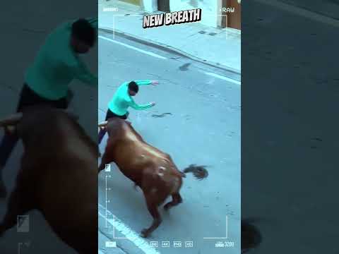 A bull chasing a guy #shorts #ox