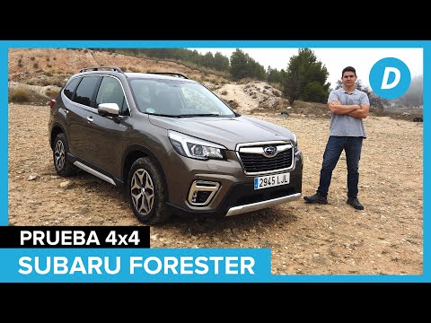 El verdadero límite 4×4 del Subaru Forester | Prueba off road | Review en español | Diariomotor