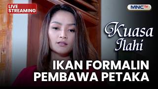 Download lagu 🔴IKAN FORMALIN PEMBAWA PETAKA | LIVE KUASA ILAHI | 4 SEPTEMBER 2026 mp3