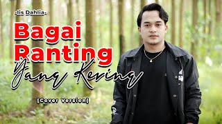 Download Lagu Gratis