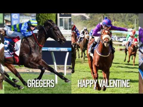 2017 Magic Millions National Broodmare Sale TVC